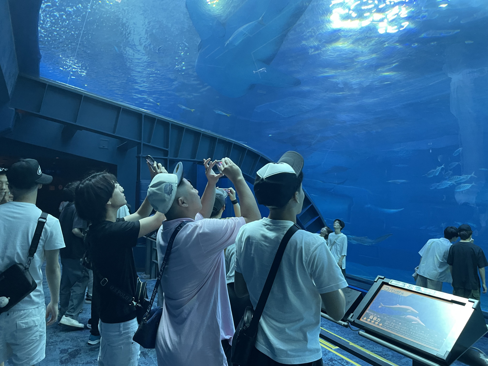 250424 美ら海１
